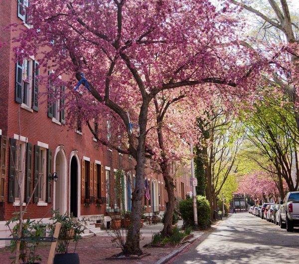 fairmount-neighborhood-streetscape1-M.Fischetti-2200x1237vp